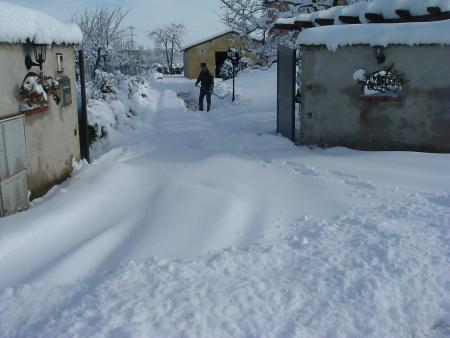 Neige